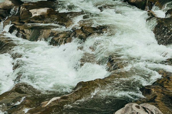 Discovering Somerset: An Unforgettable Journey into Britain's Exquisite Cheese Tasting Traditions