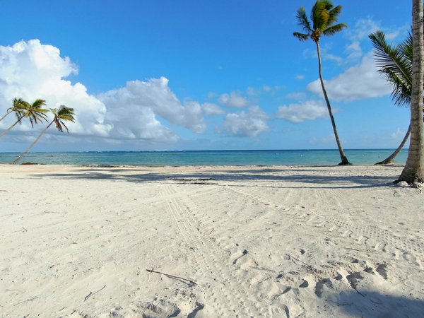 Discover the Art of Genuine British Leather Tanning: Interactive Workshops for Memorable Visitor Experiences